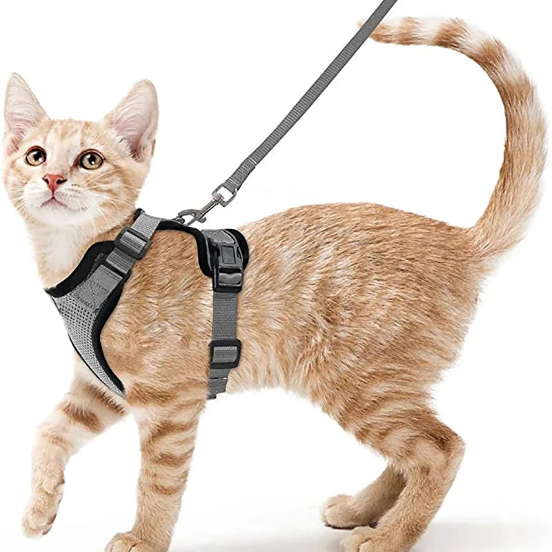 Secure and Comfortable Cat Walking Harness | Ka-mostore