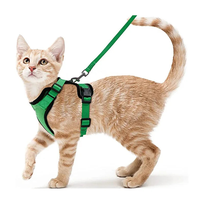 Secure and Comfortable Cat Walking Harness | Ka-mostore