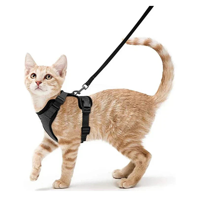 Secure and Comfortable Cat Walking Harness | Ka-mostore