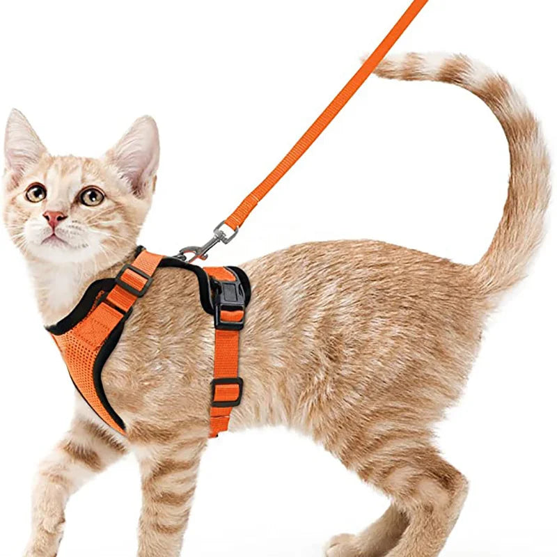 Secure and Comfortable Cat Walking Harness | Ka-mostore