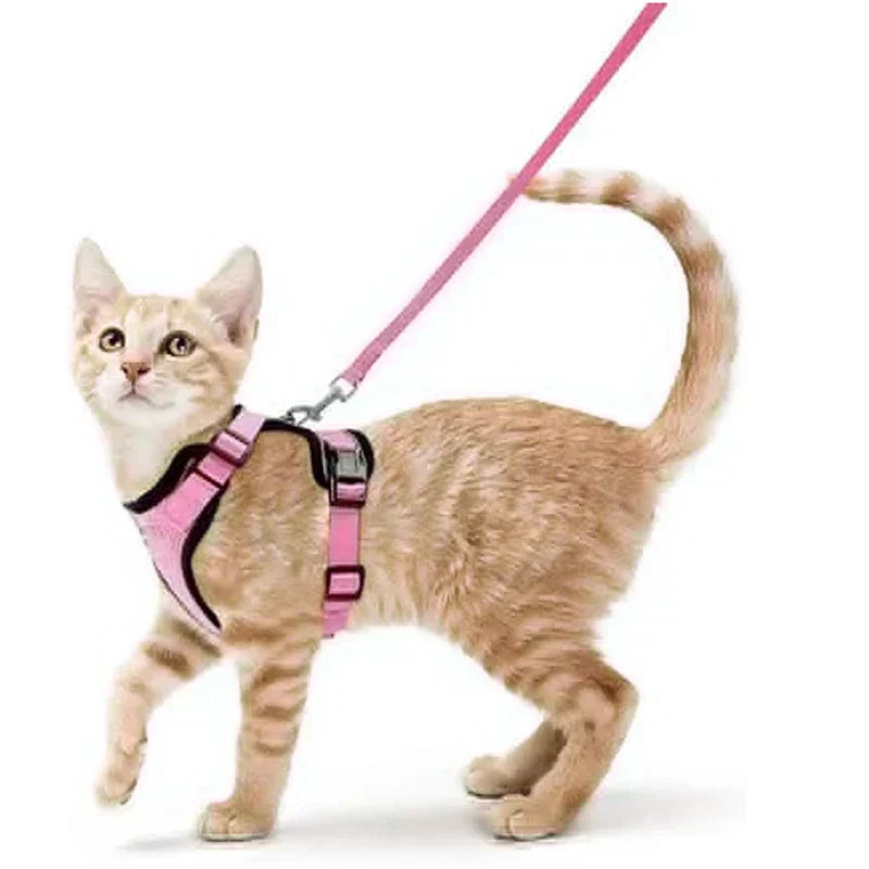 Secure and Comfortable Cat Walking Harness | Ka-mostore