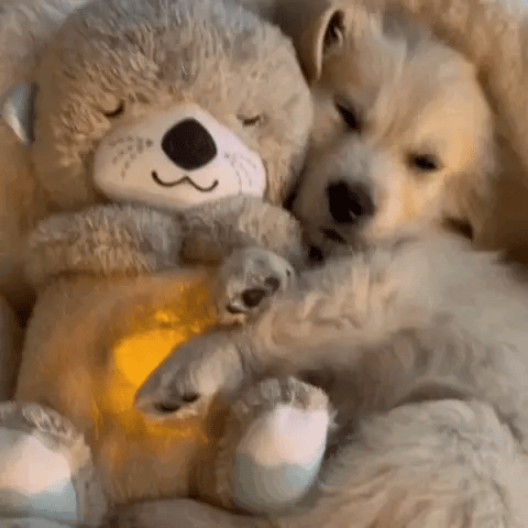 Soothing Plush Toy | Ka-mostore