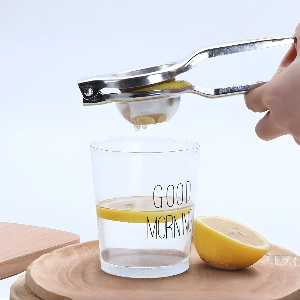 Premium Stainless Steel Citrus Juicer | Ka-mostore
