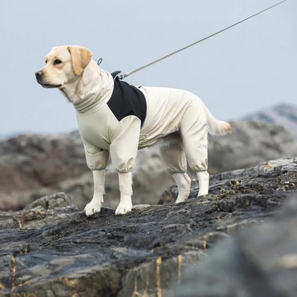 StormGuard • Dog Waterproof Raincoat | Ka-mostore