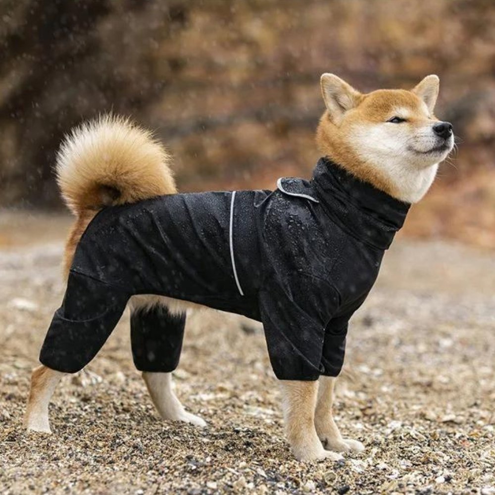 StormGuard • Dog Waterproof Raincoat | Ka-mostore