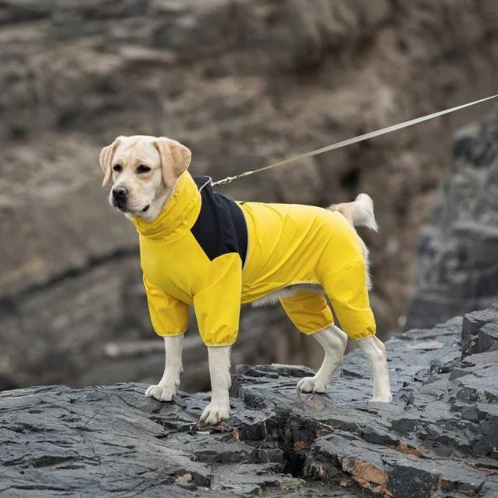 StormGuard • Dog Waterproof Raincoat | Ka-mostore