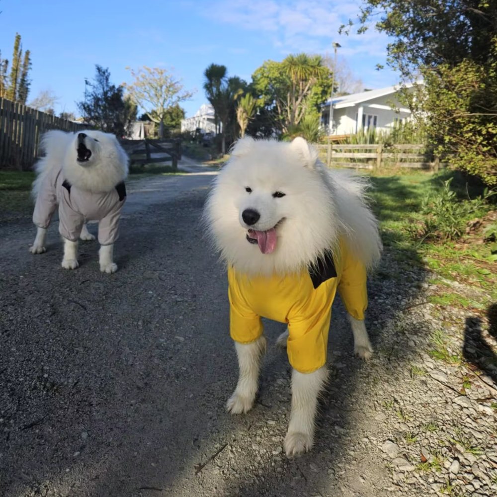 StormGuard • Dog Waterproof Raincoat | Ka-mostore