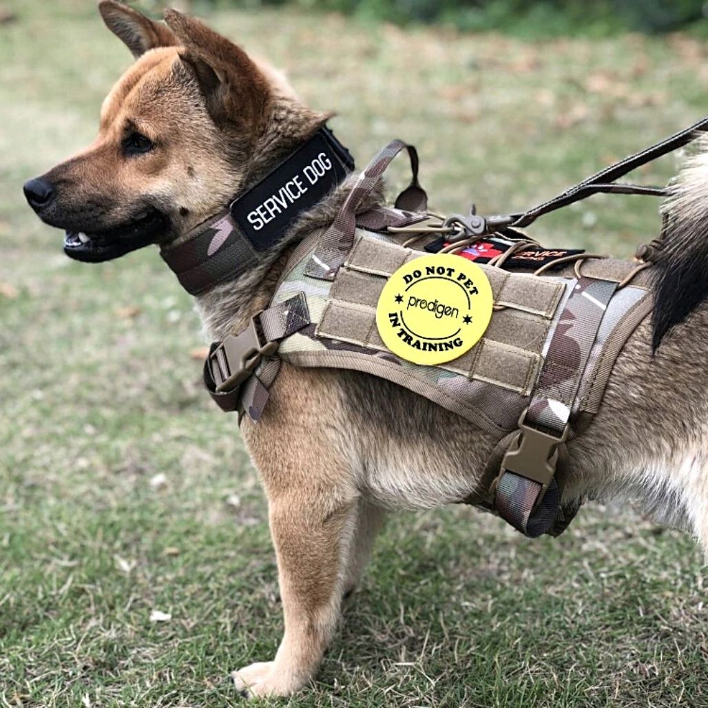 Tactical Safety Harness for Dogs | Ka-mostore