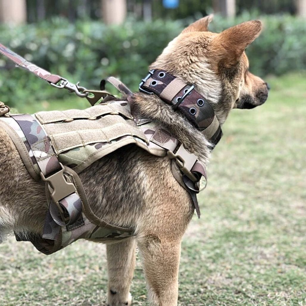 Tactical Safety Harness for Dogs | Ka-mostore