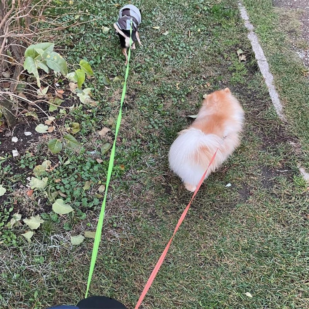 TangleFree • Dual Dog Leash | Ka-mostore