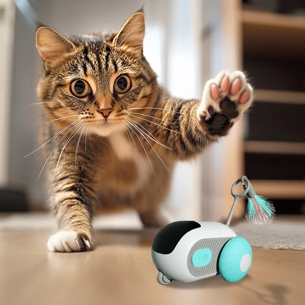 TurboChase • Interactive Cat Chase Toy | Ka-mostore