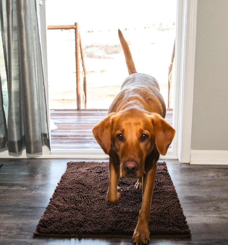 Washable microfiber pet mat - highly absorbent & non-slip | Ka-mostore