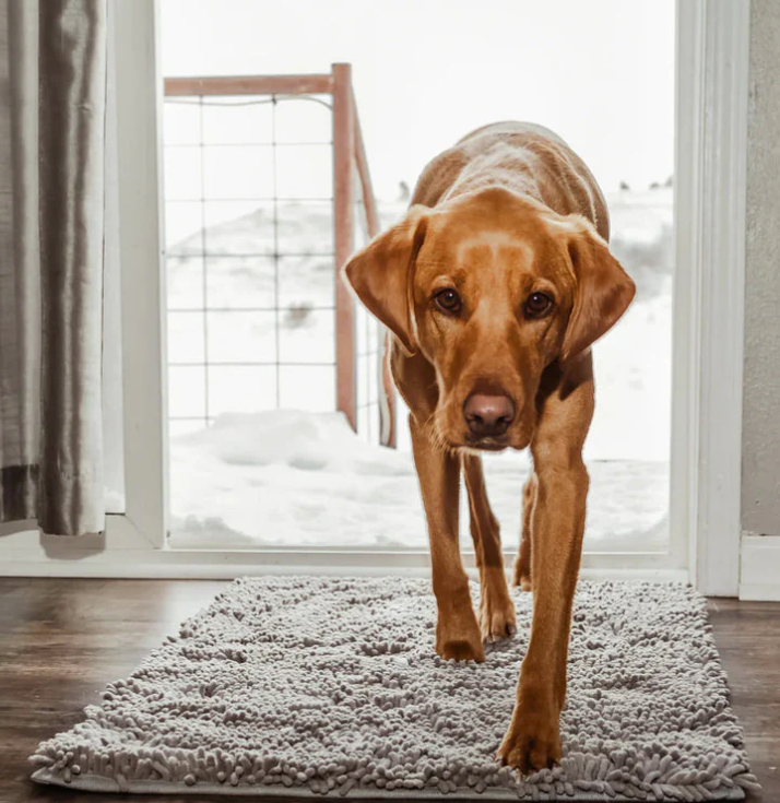 Washable microfiber pet mat - highly absorbent & non-slip | Ka-mostore