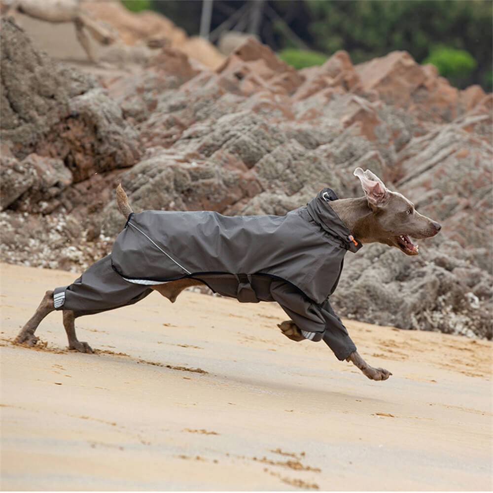 Waterproof Raincoat for Dogs with Four Legs and Reflective Pattern Hood | Ka-mostore