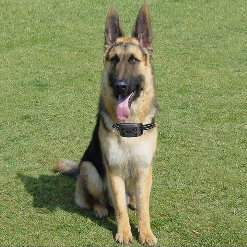 Adjustable Wireless Pet Containment System - 9m to 240m Range | Ka-mostore